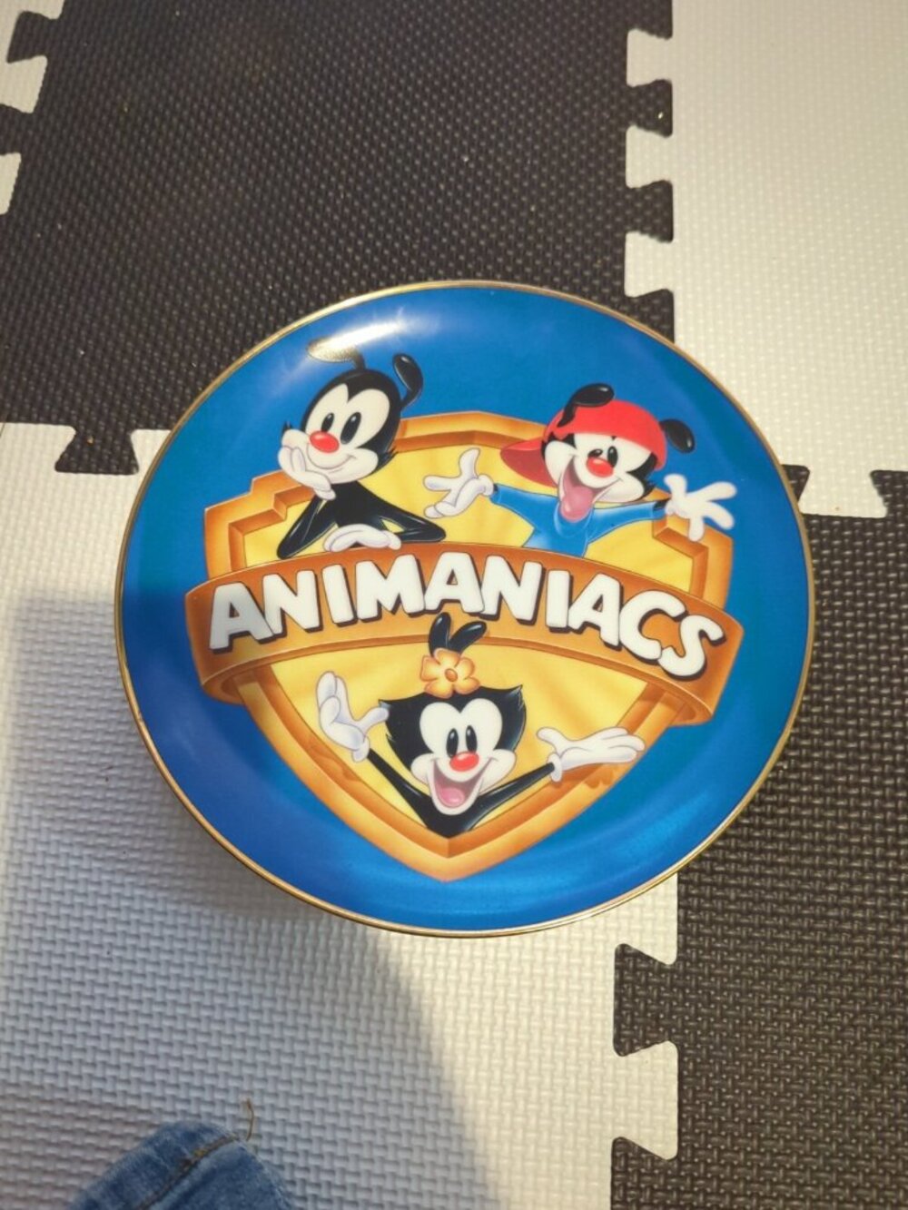 Warner Brothers Animaniacs 9-1/4" Plate #1070/2500 Studio Gallery 1994 Vintage